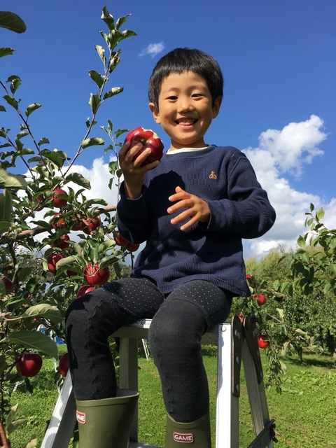 20171211_6.bokunogenkinomoto.JPGのサムネイル画像