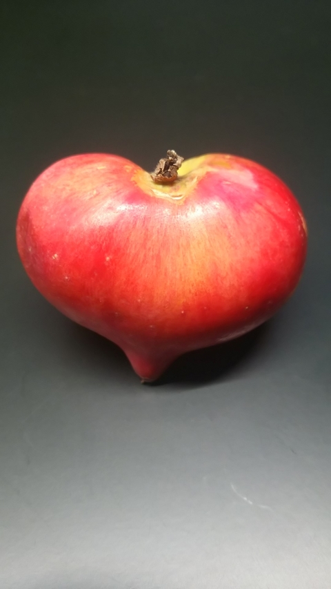 20171211_9.ha-toringomikke.JPGのサムネイル画像